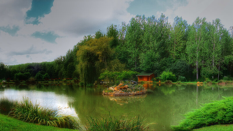 Wooden Hut on Pond