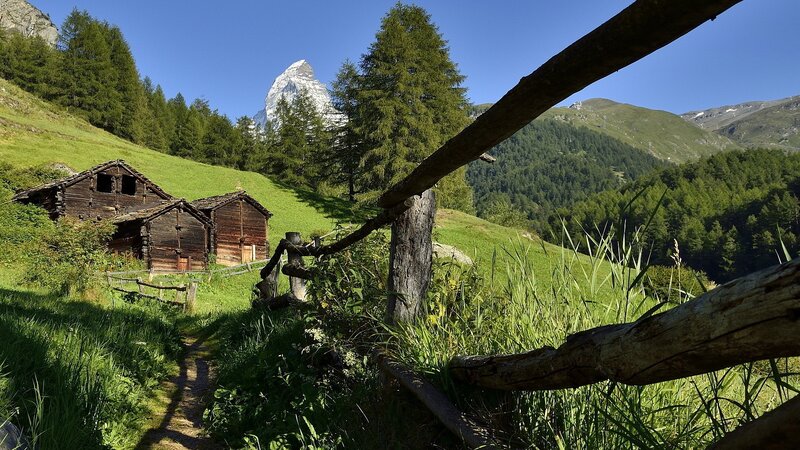 Wooden Huts in Alpine Valley — Green