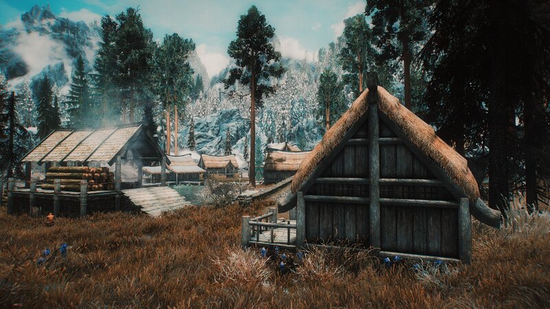 Wooden Huts in Forest