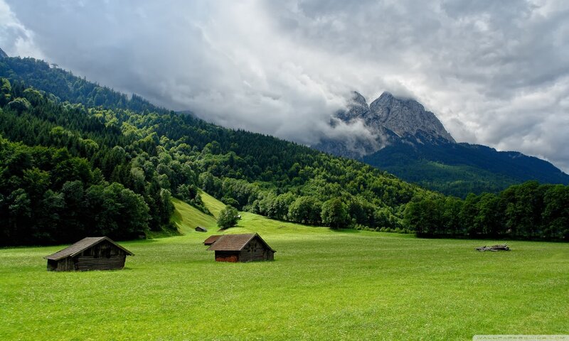 Wooden Huts in Meadow