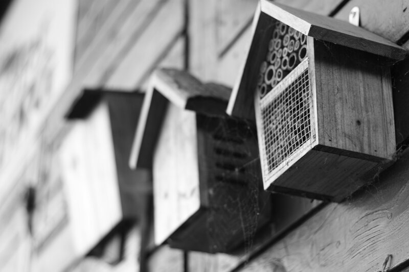 Wooden Insect Hotels