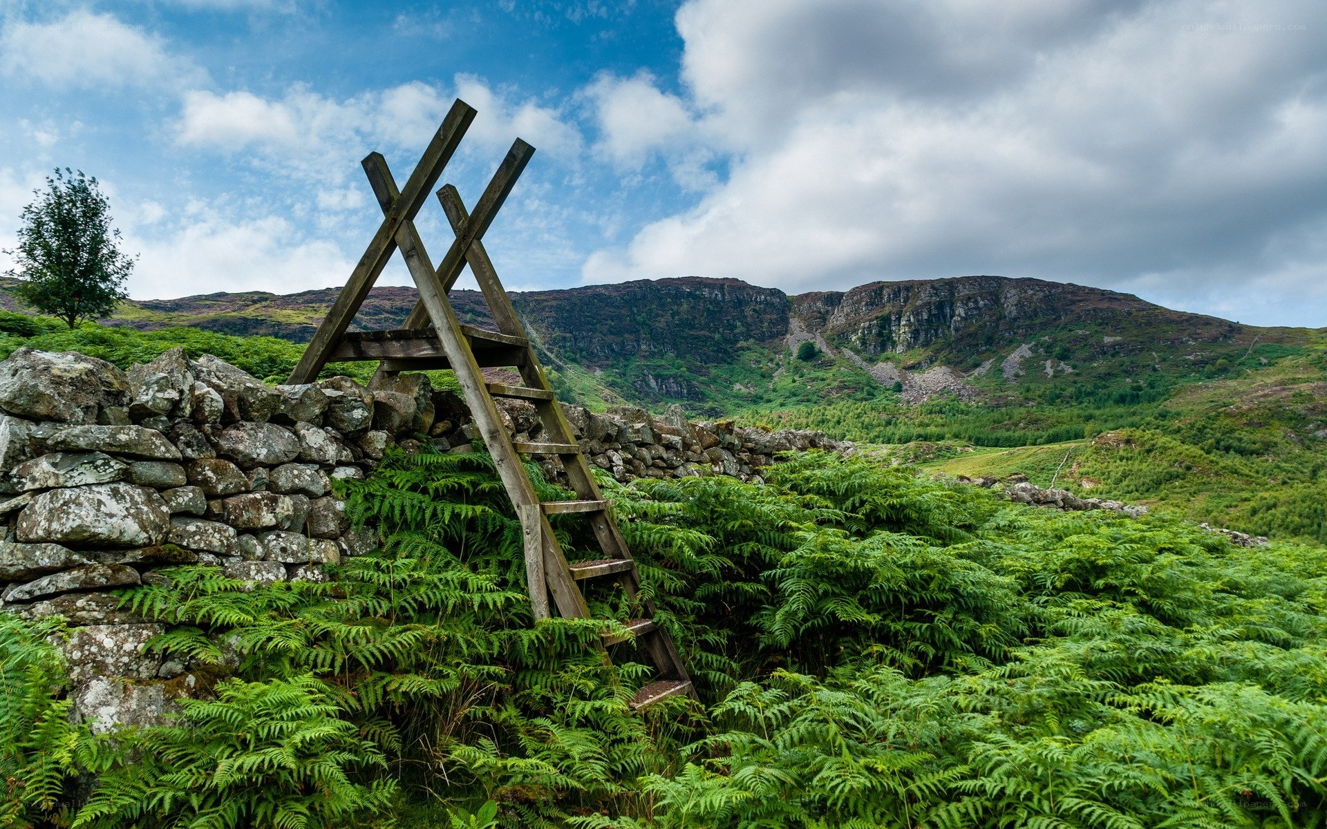 Wooden ladder by stone wall