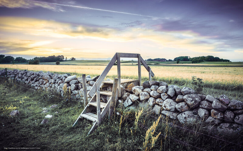 Wooden Ladder over Stone Wall — Green, Serene, Sunset