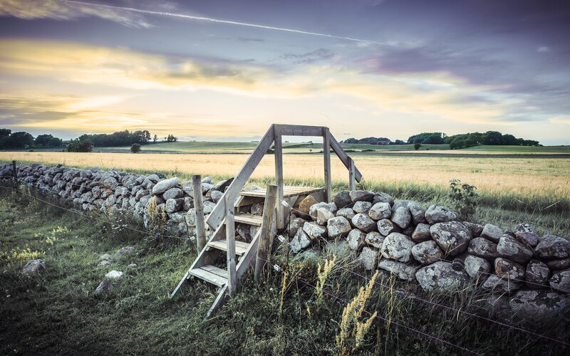 Wooden Ladder over Stone Wall — Green, Serene
