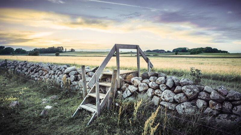 Wooden Ladder over Stone Wall — Green