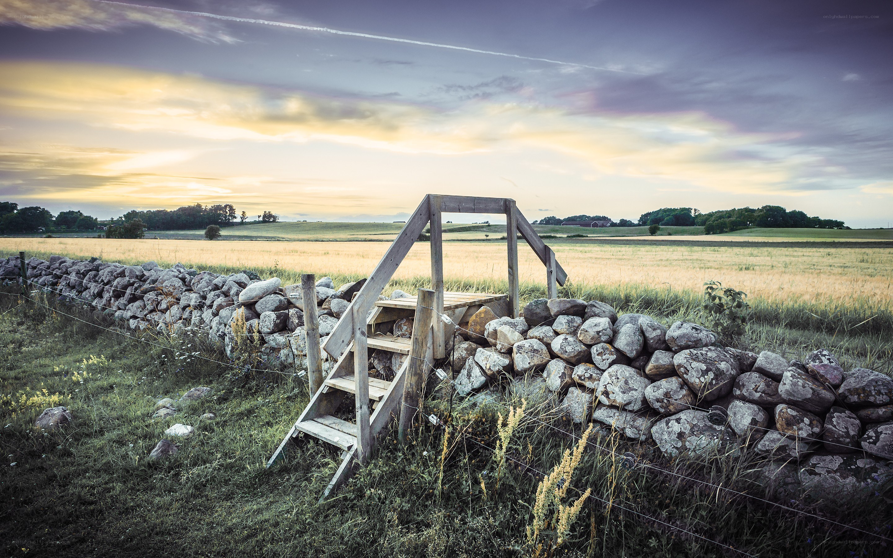 Wooden ladder over stone wall