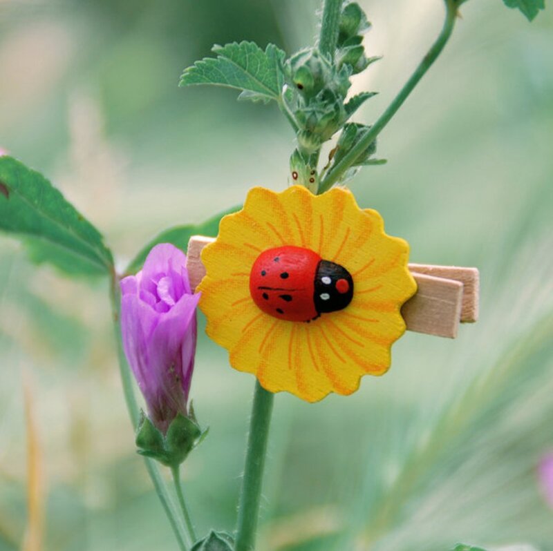 Wooden Ladybug Clip