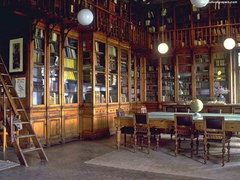 Wooden Library Room — Brown, Quiet