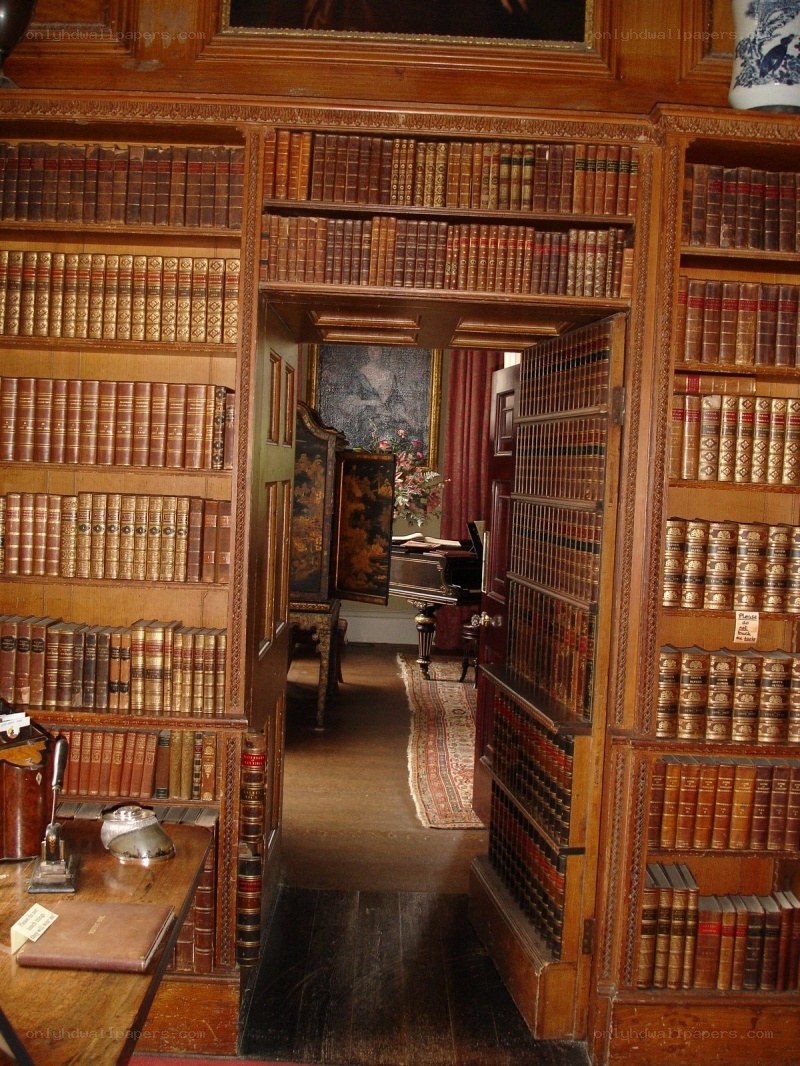 wooden library with books