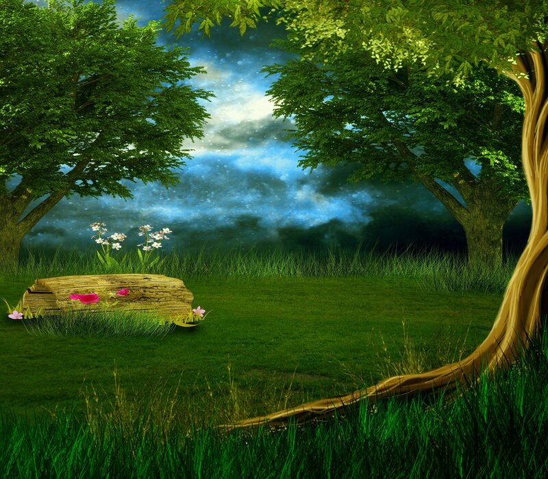 Wooden Log in Forest
