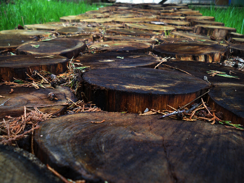 wooden log path in garden
