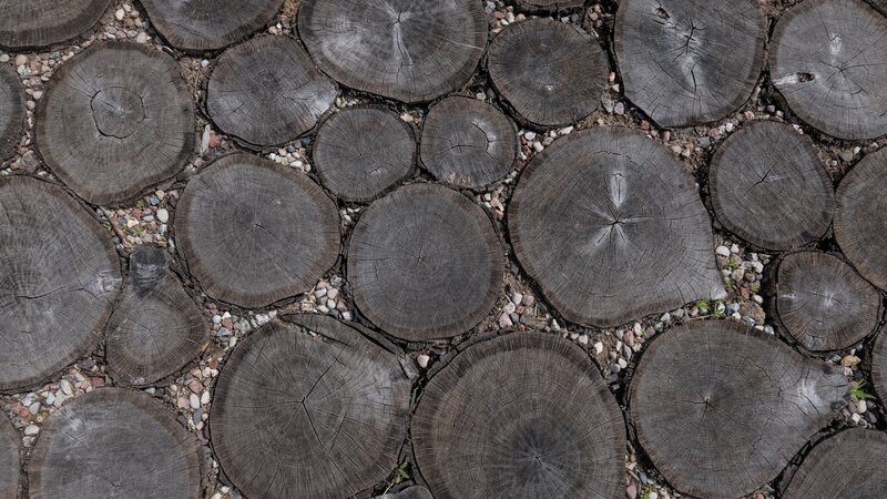 Wooden Log Slices