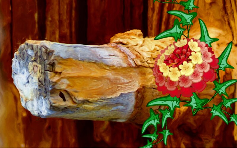 Wooden Log with Flowers