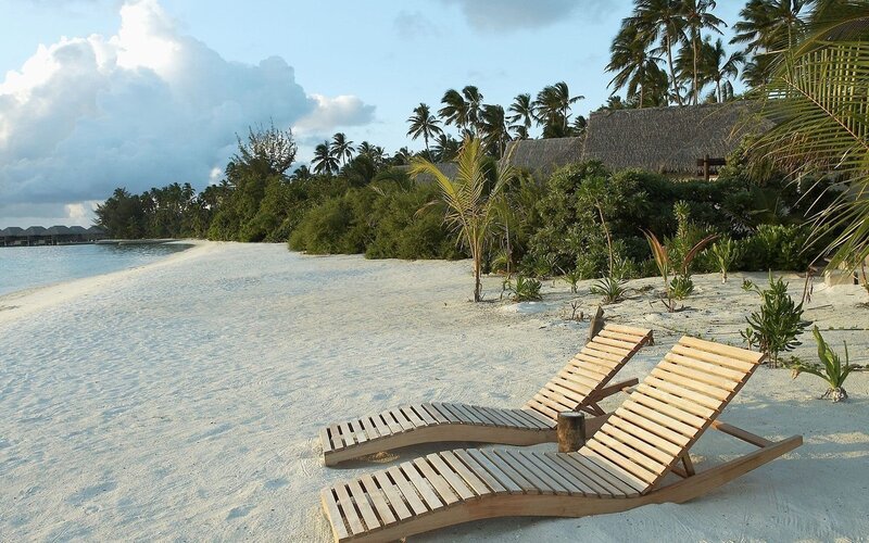 Wooden Lounge Chairs — White