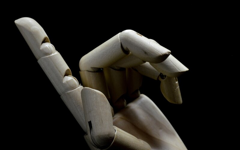 Wooden Mannequin Hand
