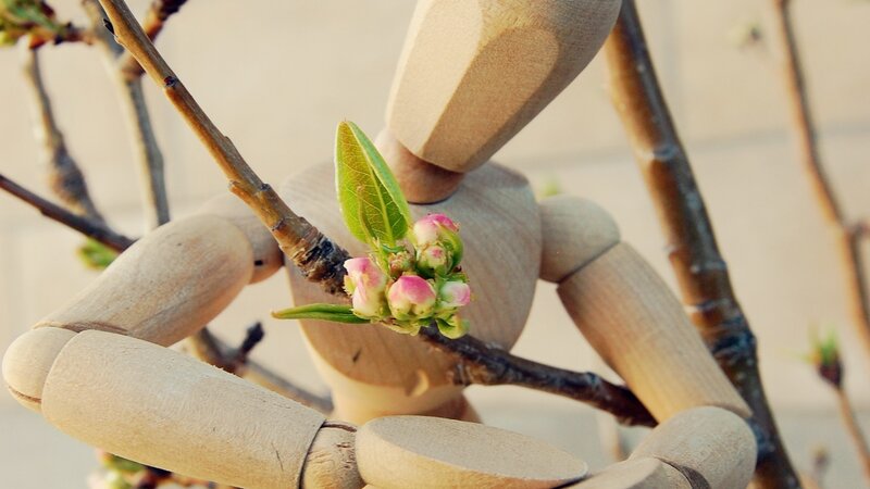 wooden mannequin holding a branch