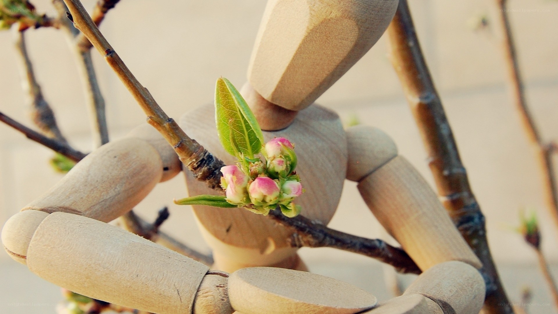 wooden mannequin holding a branch