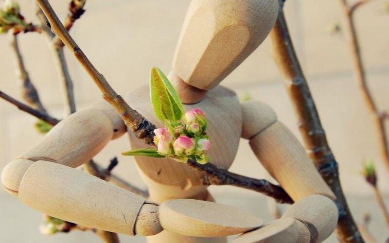 Wooden Mannequin Holding Branch