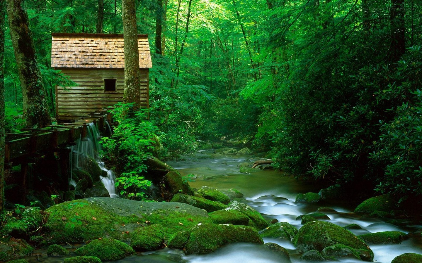 Wooden mill by a forest stream
