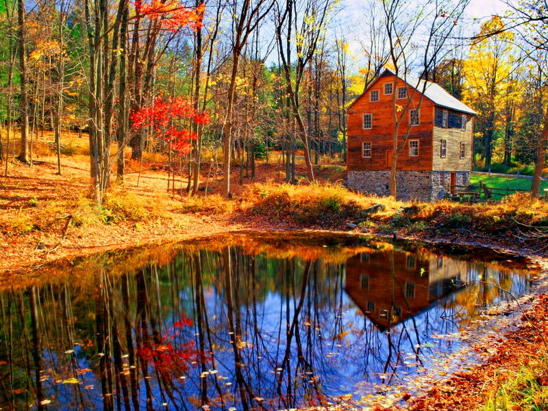 Wooden Mill by Pond — Orange