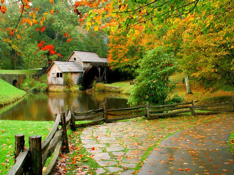 Wooden Mill by Pond
