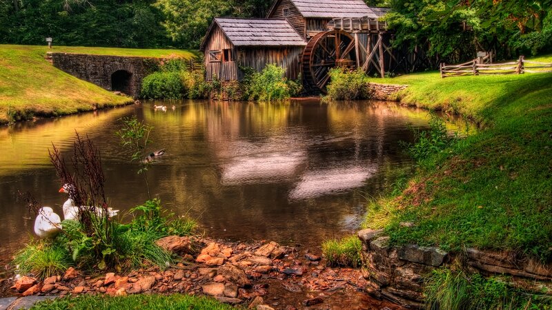 Wooden Mill by River — Green, Serene, Afternoon, Photograph, Ducks