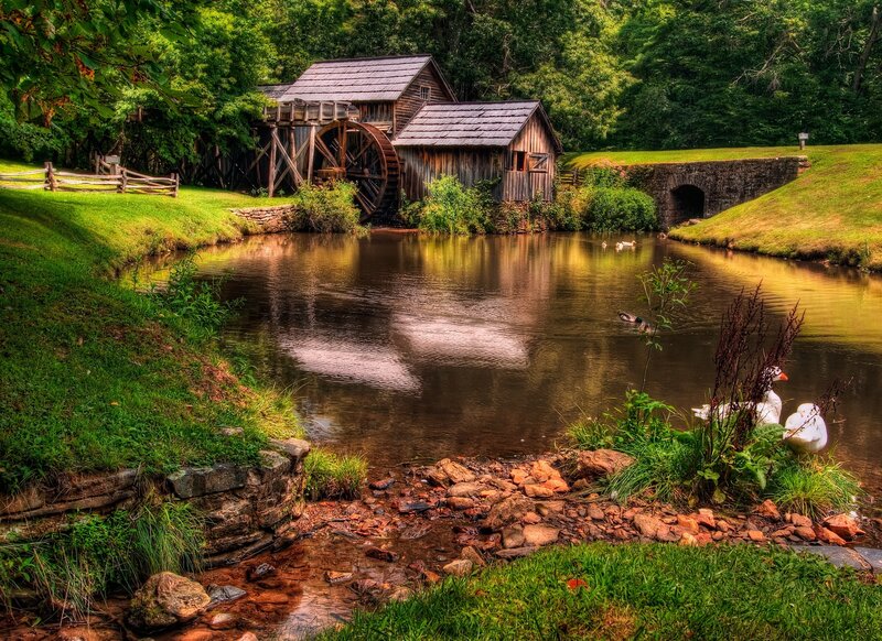 Wooden Mill by River — Green, Serene, Afternoon, Photograph, Ducks, Waterwheel, Stone Bridge, Trees
