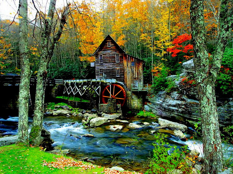Wooden Mill by River — Green, Serene, Autumn, Photograph