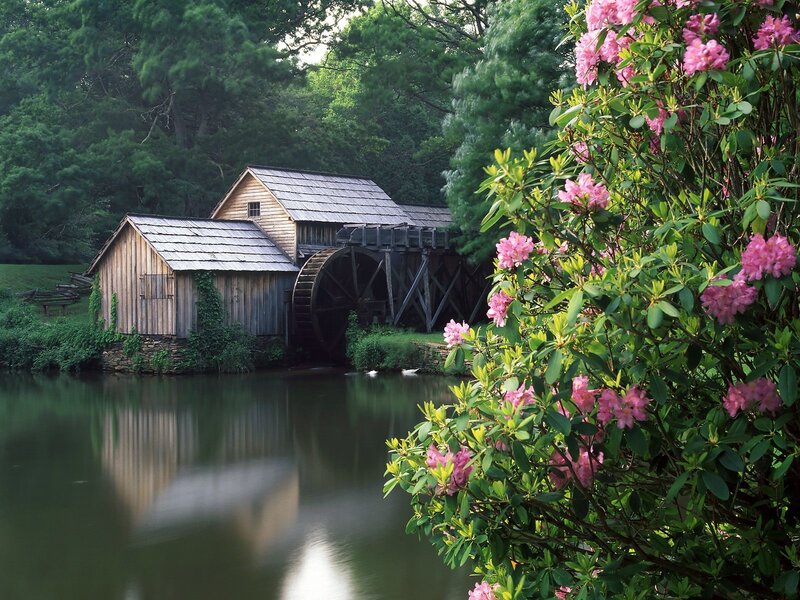 Wooden Mill by River — Green, Serene, Spring, Photograph, Water Wheel
