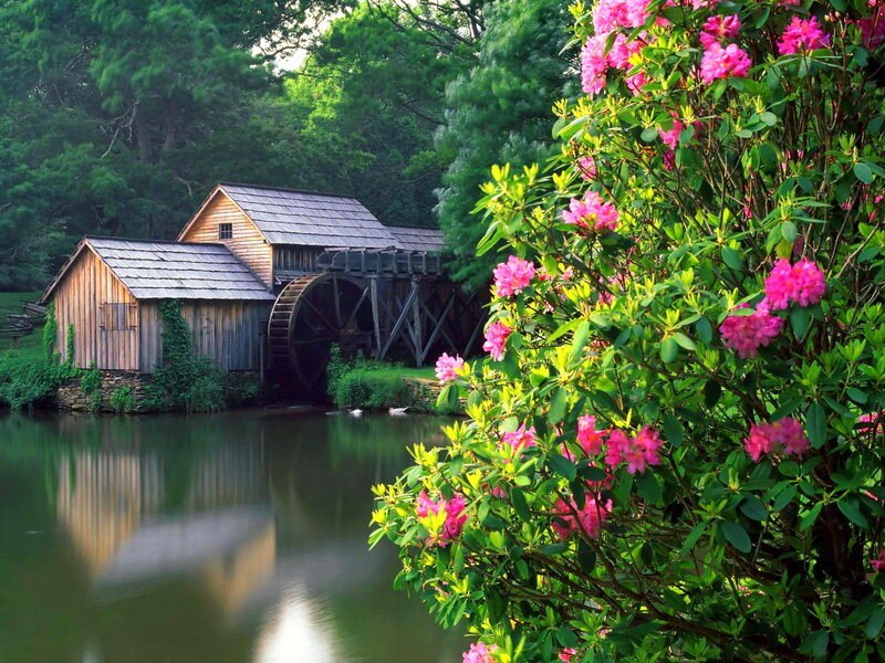 Wooden Mill by River — Green, Serene, Spring, Photograph, Waterwheel