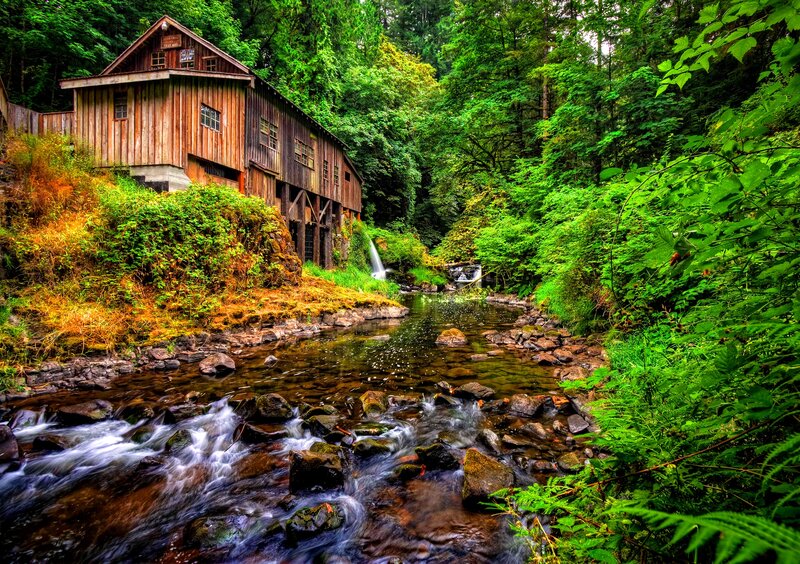 Wooden Mill by Stream — Green, Serene, Afternoon