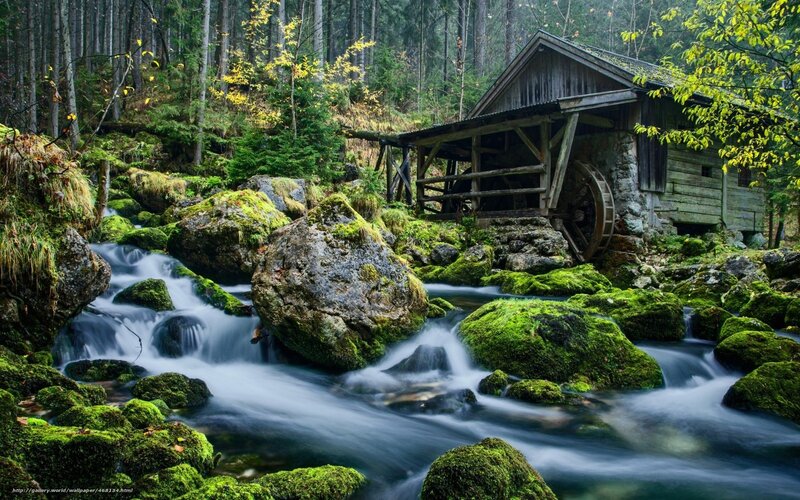 Wooden Mill by Stream — Green, Serene, Autumn, Photograph, Forest, River