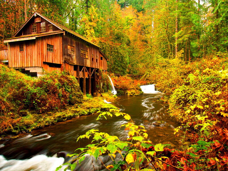 Wooden Mill by Stream — Green, Serene, Autumn, Photograph