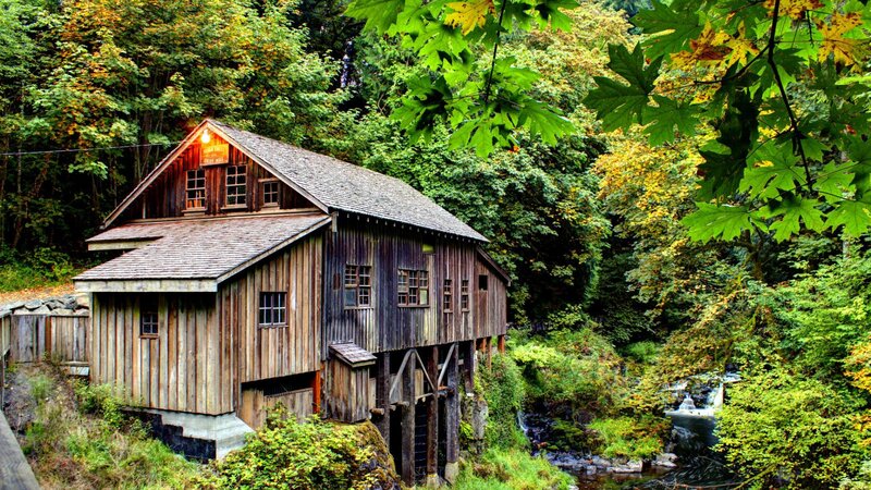 Wooden Mill by Stream — Green, Serene, Autumn, Photograph, Trees, Leaves