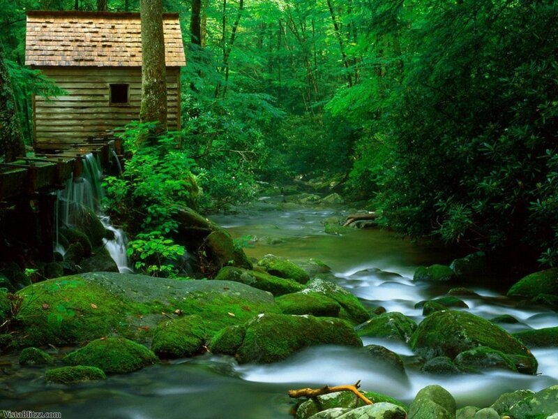 Wooden Mill by Stream — Green, Serene