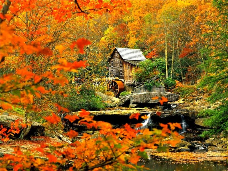Wooden Mill by Stream — Orange