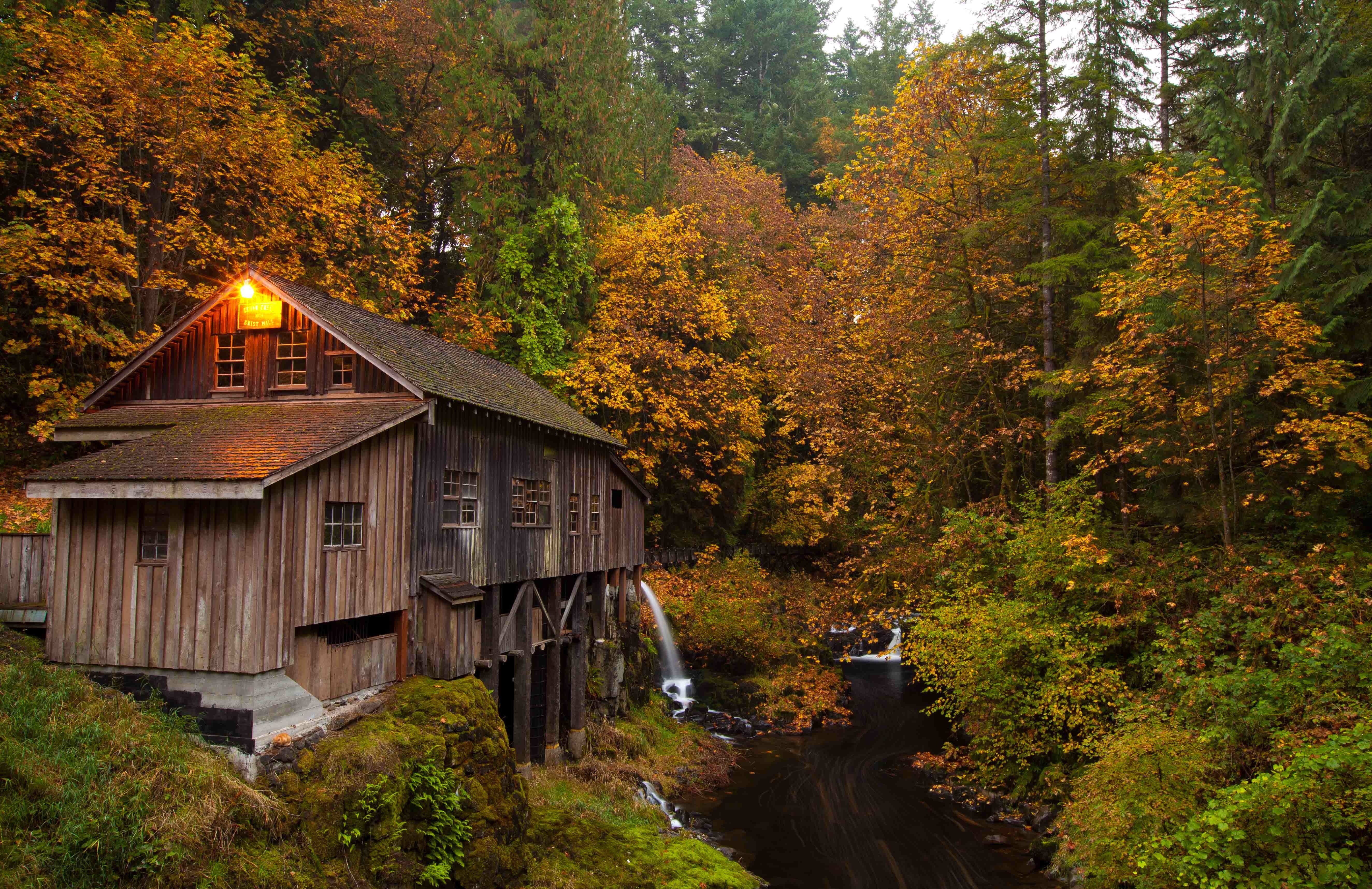 Wooden mill in autumn forest