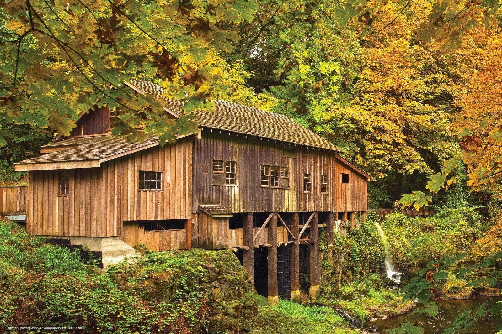 Wooden mill in autumn forest