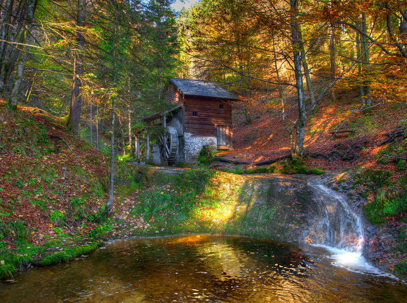 Wooden Mill in Forest — Brown, Serene, Autumn, Photograph