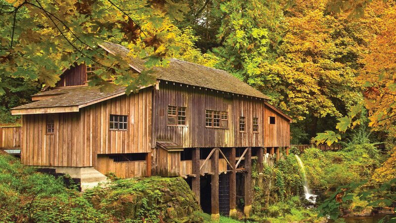 Wooden Mill in Forest — Brown, Serene, Autumn