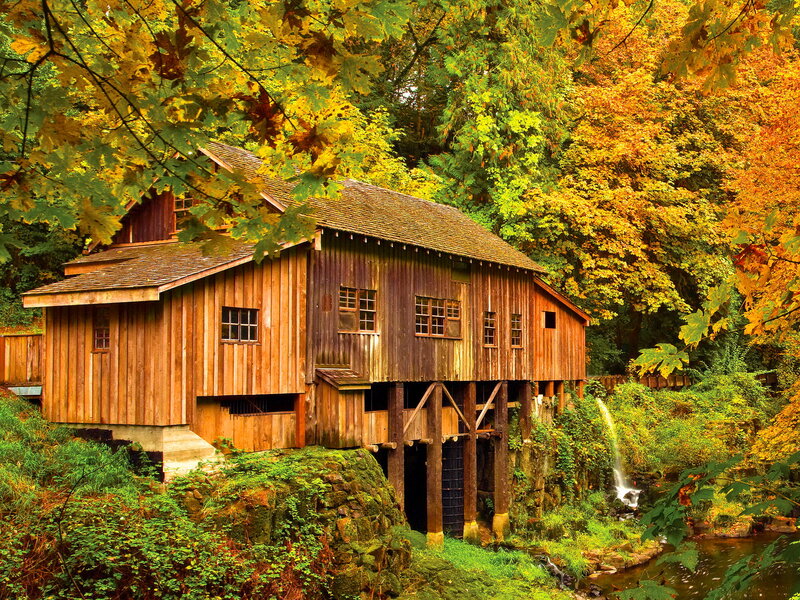 Wooden Mill in Forest — Brown, Serene