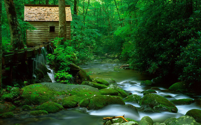 Wooden Mill in Forest — Green, Serene, Afternoon, Photograph, Stream