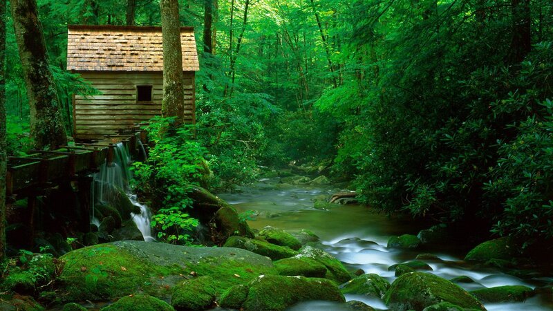 Wooden Mill in Forest — Green, Serene, Afternoon, Photograph, Stream, Trees