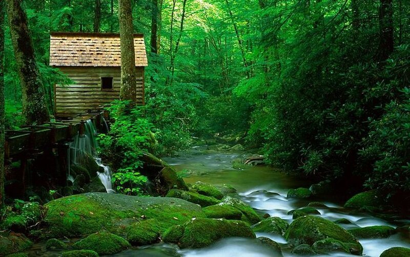 Wooden Mill in Forest — Green, Serene, Afternoon, Photograph