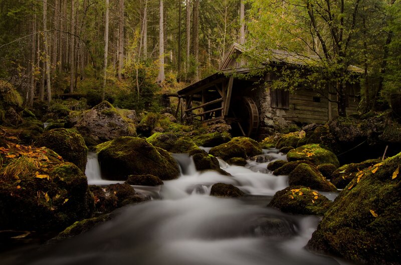 Wooden Mill in Forest — Green, Serene, Autumn, Photograph