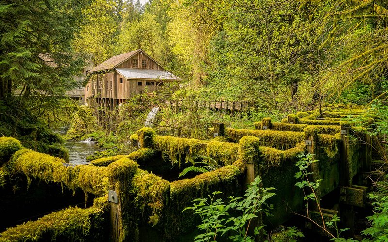 Wooden Mill in Forest — Green, Serene, Spring