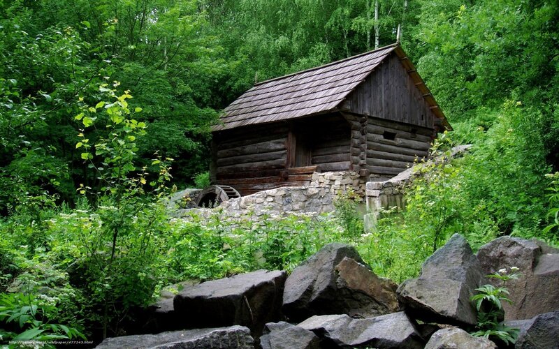 Wooden Mill in Forest — Green, Serene, Summer