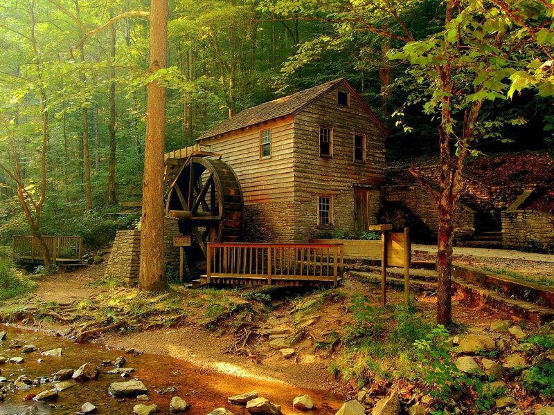 Wooden Mill in Forest — Green, Serene
