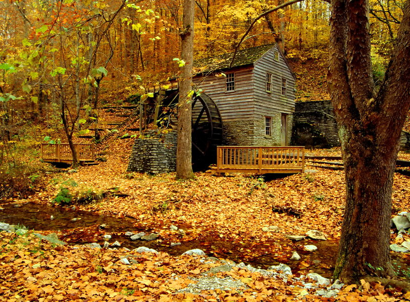 Wooden Mill in Forest — Orange, Serene