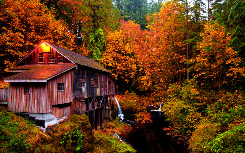 Wooden Mill in Forest — Orange